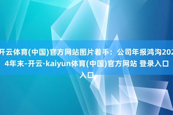 开云体育(中国)官方网站图片着手：公司年报鸿沟2024年末-开云·kaiyun体育(中国)官方网站 登录入口