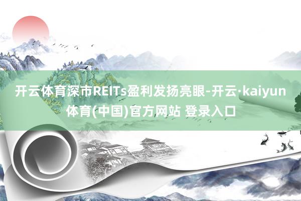 开云体育深市REITs盈利发扬亮眼-开云·kaiyun体育(中国)官方网站 登录入口