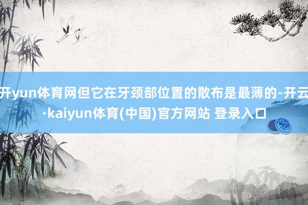 开yun体育网但它在牙颈部位置的散布是最薄的-开云·kaiyun体育(中国)官方网站 登录入口