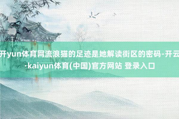 开yun体育网流浪猫的足迹是她解读街区的密码-开云·kaiyun体育(中国)官方网站 登录入口