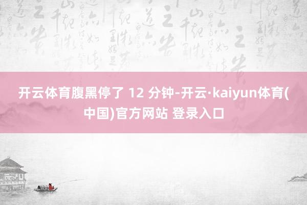 开云体育腹黑停了 12 分钟-开云·kaiyun体育(中国)官方网站 登录入口