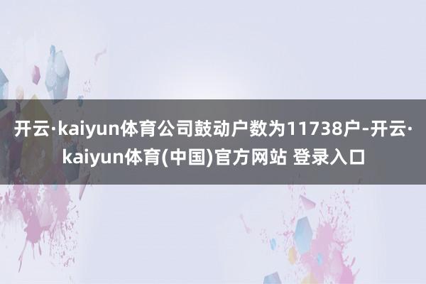 开云·kaiyun体育公司鼓动户数为11738户-开云·kaiyun体育(中国)官方网站 登录入口